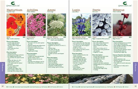 Where To Order Flower And Bush Catalogs
