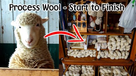 Where there&rsquo;s a wool