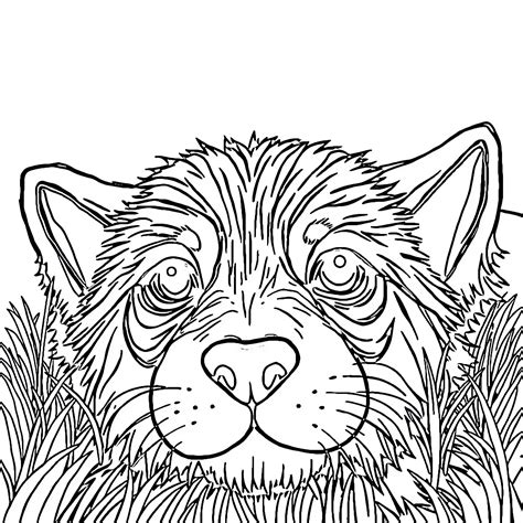 Where to Find Amazing Fill In Coloring Pages