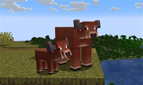 Where to Find Cows in Minecraft