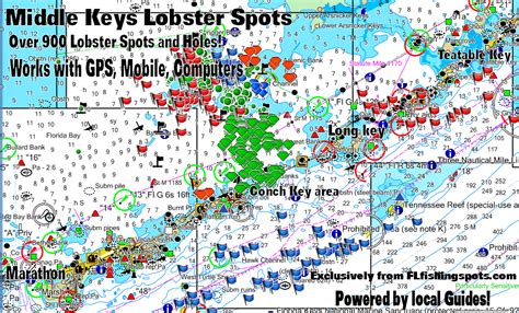 Where to Find Florida Keys Lobster GPS Numbers