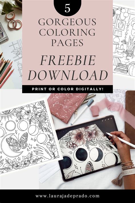 Where to Find Free Digital Coloring Pages For Adults