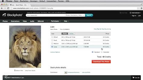 Where to Find High-Quality Designs