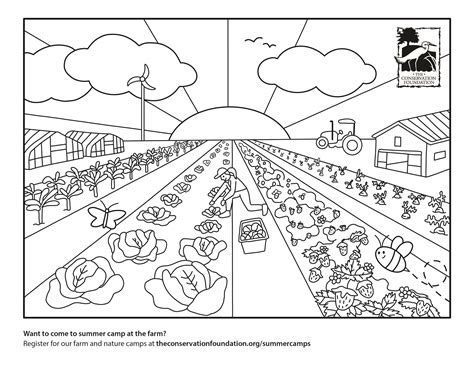 Where to Find High-Quality Drawing For Coloring Pdf Resources