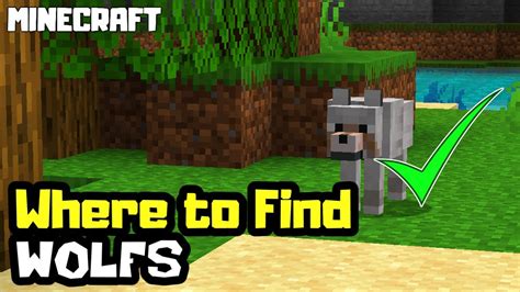 Where to Find a Wolf in Minecraft