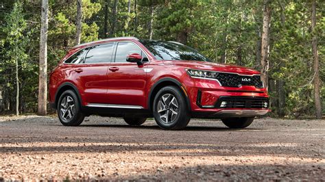 Where to Find the Best Free Coloring Activity Pages