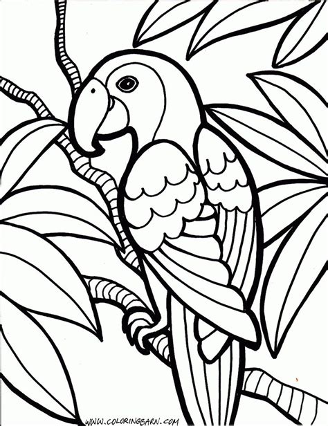Where to Find the Best Free Coloring Coloring Pages