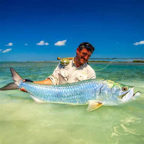 Where to Fish in Ne Florida