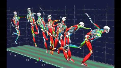 Data-Gathering For A Biomechanical Analysis: What Activities Should You Consider?