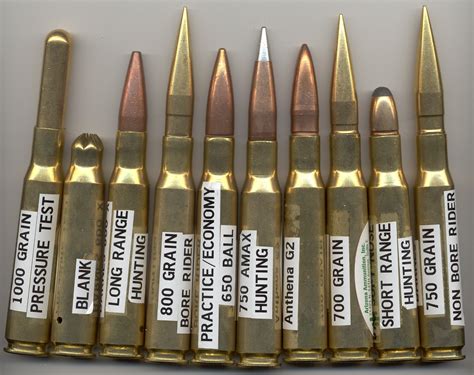 Which Type of Ammo is Best?