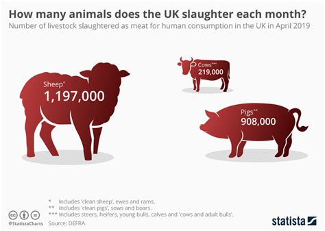 Which Countries Slaughter The Most Farm Animals