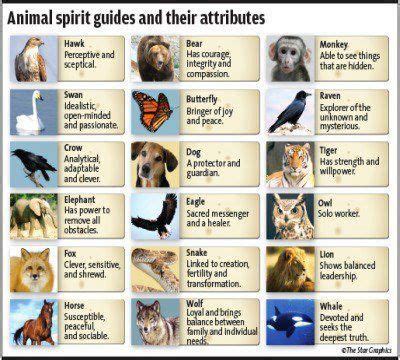 Discover Your True Personality: Find Out Which Element and Animal Resonate with You the Most!