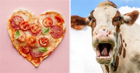 Which Farm Animal Are You Buzzfeed