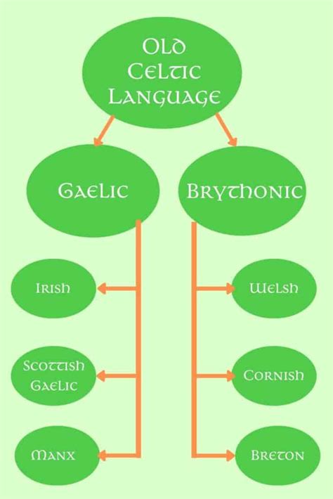 Not All That Glitters Is Celtic: Discover the Language That Stands Apart from the Rest