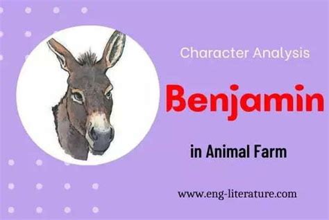Which Word Best Describes Benjamin'S Role On Animal Farm