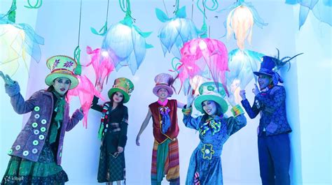 Whimsical Wonderland