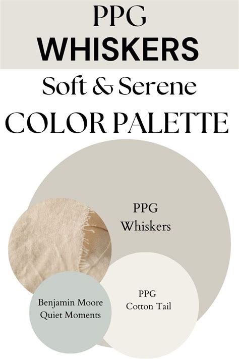 Get Creative with Whiskers Paint Color: The Perfect Shade for Any Room