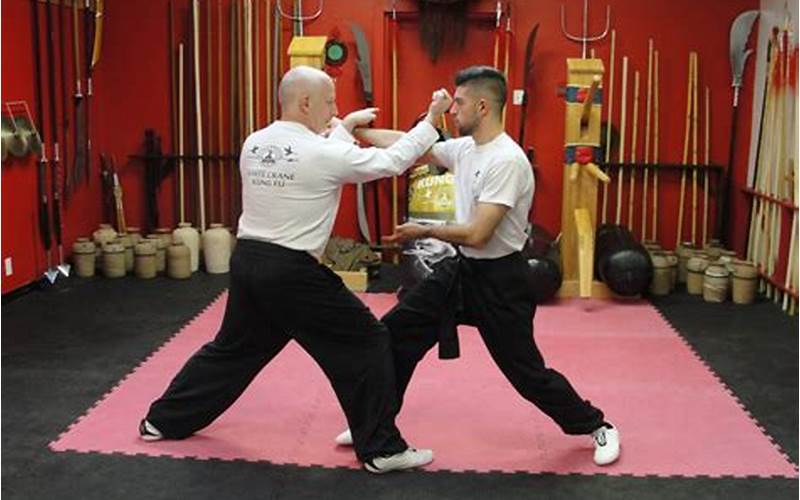 Understanding the Basics of White Crane Kung Fu: An Ultimate Guide
