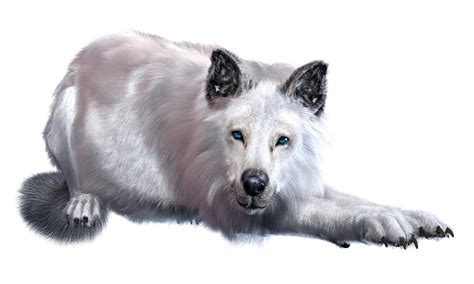 Fierce and Majestic: The White Dire Wolf