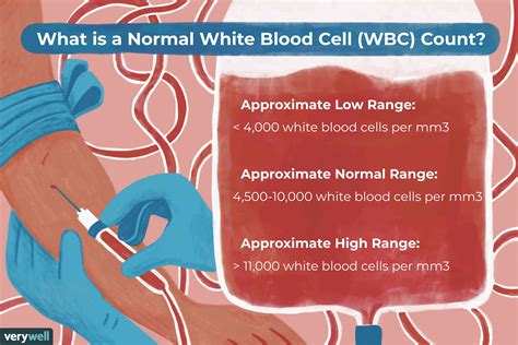 White Blood Cell Count Chart