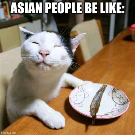 White Cat Meme Asian