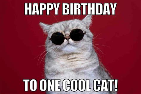 White Cat Meme Birthday