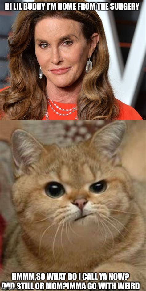 White Cat Meme Bruce Jenner