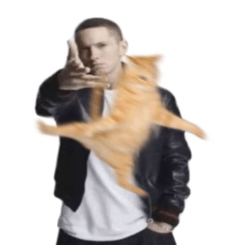 White Cat Meme Eminem