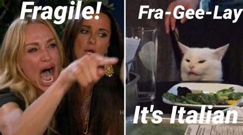 White Cat Meme Fragile