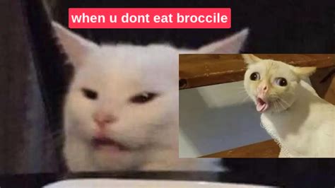 White Cat Meme Image