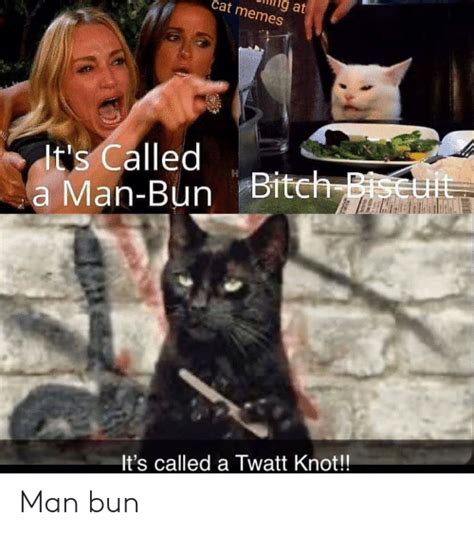 White Cat Meme Man Bun