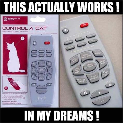 White Cat Meme Remote Control