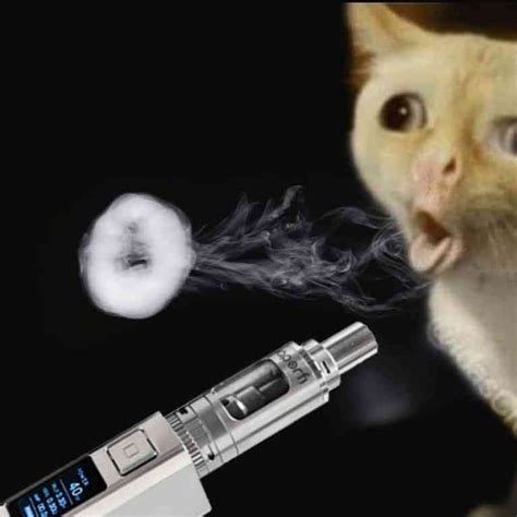White Cat Meme Vape