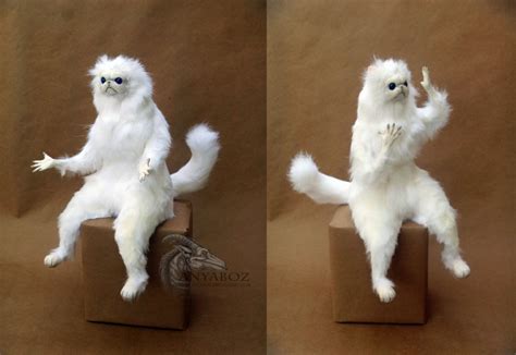 White Cat Meme With Hands