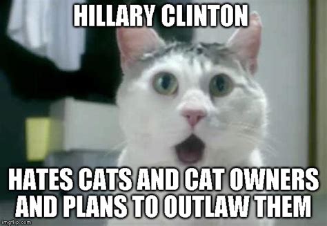 White Cat Meme With Hillary Clinton