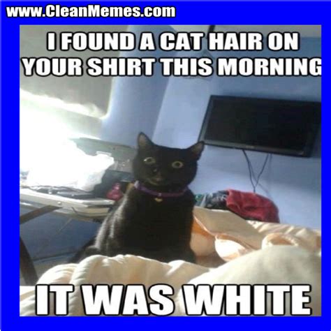 White Cat Memes Clean