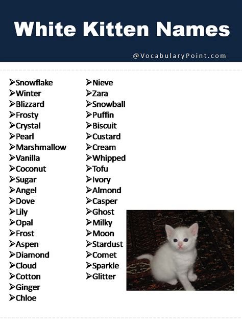 White Cat Names Funny