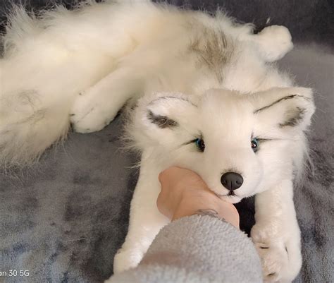 Snuggle Up with a White Fox Stuffed Animal - Perfect Gift for Kids and Animal Lovers!