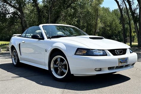 White Mustang Gt Convertible For Sale