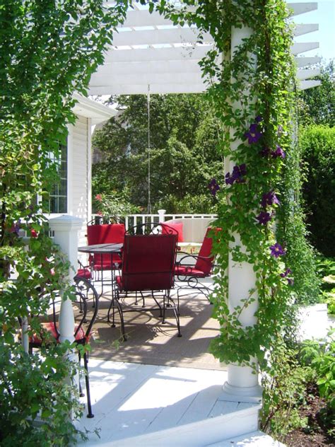 White Pergola With Vines