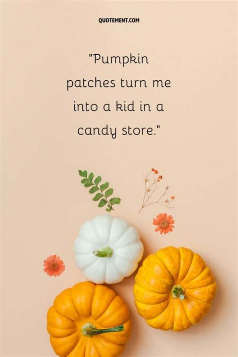 White Pumpkin Quotes