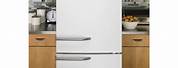 White Refrigerators with Bottom Freezer Amazon