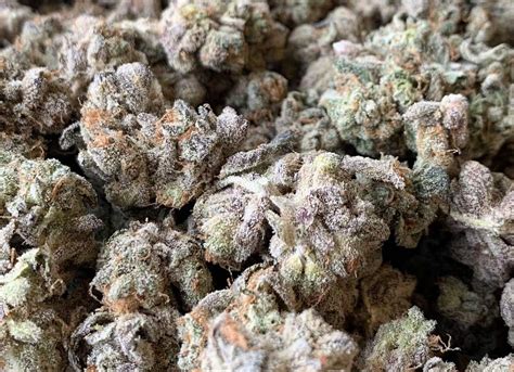 White Runtz Weed