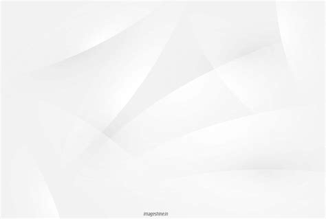 White Texture Background
