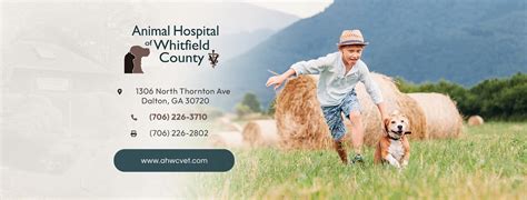 Top-Quality Pet Care Services at Whitfield County Animal Hospital - Your Trusted Veterinary Clinic