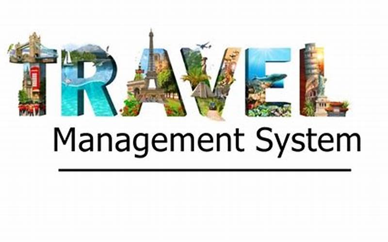 Who Can Benefit From Travel Management System