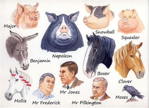 Who Are The Most Important Characters In Animal Farm