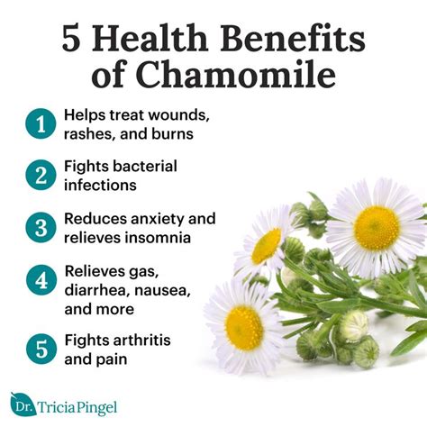 Who Can Benefit from Using Chamomile Cream
