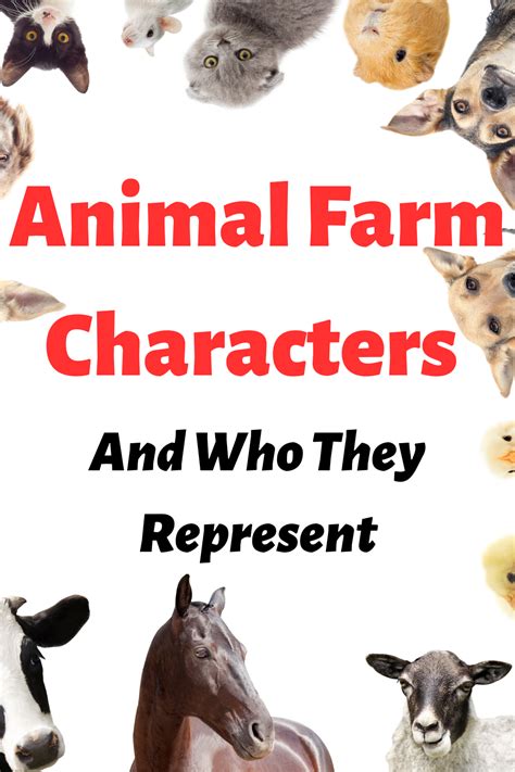 Who Does Everyone Represent In Animal Farm