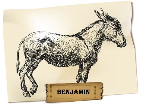 Who Is Benjamin Represent In Animal Farm